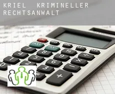 Kriel  krimineller rechtsanwalt