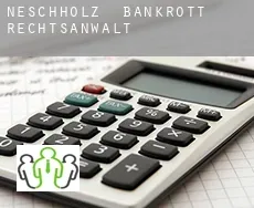 Neschholz  bankrott rechtsanwalt