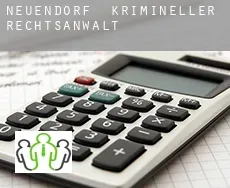 Neuendorf  krimineller rechtsanwalt