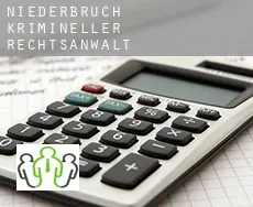 Niederbruch  krimineller rechtsanwalt