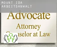 Mount Ida  arbeitsanwalt