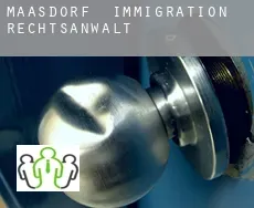 Maasdorf  immigration rechtsanwalt