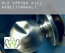 Old Spring Hill arbeitsanwalt