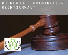 Bornerhof  krimineller rechtsanwalt