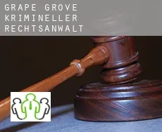 Grape Grove  krimineller rechtsanwalt