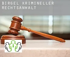 Birgel  krimineller rechtsanwalt