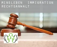 Minsleben  immigration rechtsanwalt