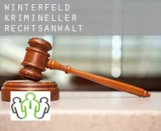 Winterfeld  krimineller rechtsanwalt