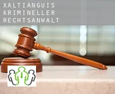 Xaltianguis  krimineller rechtsanwalt