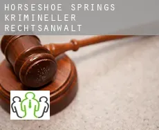 Horseshoe Springs krimineller rechtsanwalt