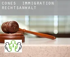 Cones  immigration rechtsanwalt