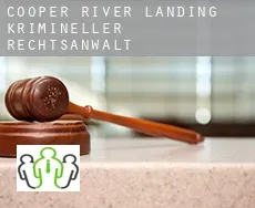 Cooper River Landing  krimineller rechtsanwalt