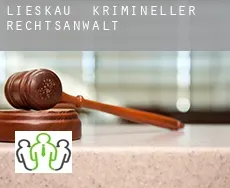 Lieskau  krimineller rechtsanwalt