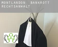 Montlandon bankrott rechtsanwalt