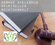 Domäne Avelsbach  krimineller rechtsanwalt