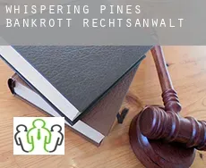 Whispering Pines  bankrott rechtsanwalt