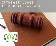 Ortwiger Loose  Autounfall Anwalt