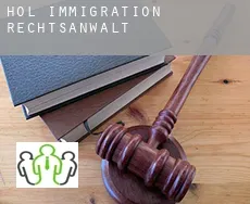Hol  immigration rechtsanwalt