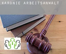 Karonie  arbeitsanwalt