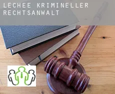 LeChee  krimineller rechtsanwalt