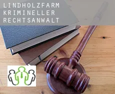 Lindholzfarm  krimineller rechtsanwalt