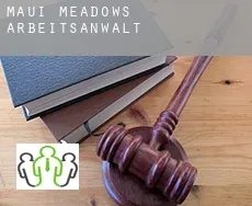 Maui Meadows  arbeitsanwalt
