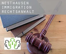 Nesthausen  immigration rechtsanwalt