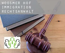 Woosmer Hof  immigration rechtsanwalt