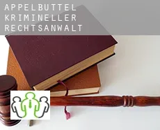 Appelbüttel  krimineller rechtsanwalt