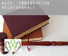 Hees  immigration rechtsanwalt