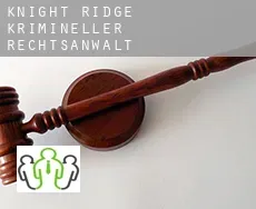 Knight Ridge  krimineller rechtsanwalt