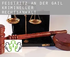 Feistritz an der Gail krimineller rechtsanwalt