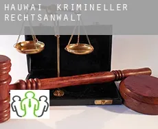 Hauwai krimineller rechtsanwalt