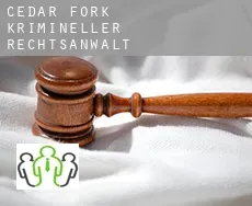 Cedar Fork  krimineller rechtsanwalt