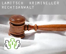 Lamitsch  krimineller rechtsanwalt