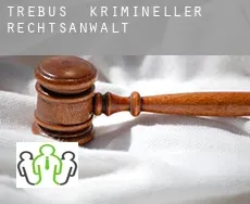 Trebus  krimineller rechtsanwalt