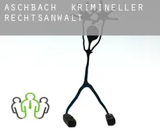 Aschbach  krimineller rechtsanwalt