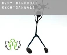Bywy  bankrott rechtsanwalt