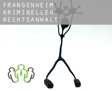 Frangenheim  krimineller rechtsanwalt