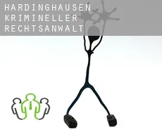 Hardinghausen  krimineller rechtsanwalt