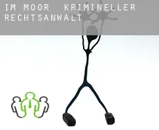 Im Moor  krimineller rechtsanwalt