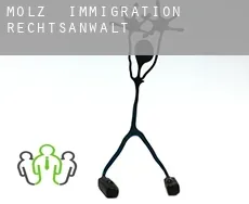 Mölz  immigration rechtsanwalt