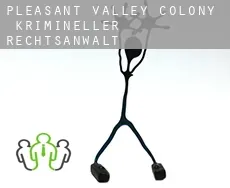 Pleasant Valley Colony  krimineller rechtsanwalt