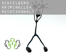 Schielberg  krimineller rechtsanwalt