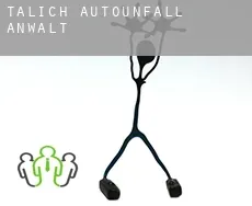 Talich  Autounfall Anwalt