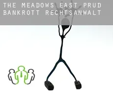 The Meadows East PRUD  bankrott rechtsanwalt