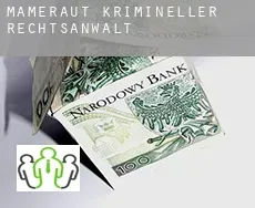 Mameraut krimineller rechtsanwalt