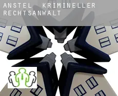 Anstel  krimineller rechtsanwalt