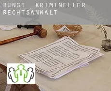 Bungt  krimineller rechtsanwalt