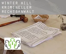 Winter Hill  krimineller rechtsanwalt